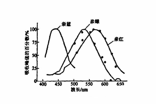 视网膜不同锥体细胞的吸收光谱曲线