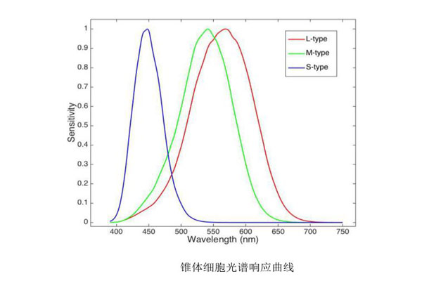 锥体细胞光谱响应曲线