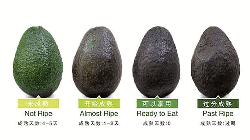 牛油果的颜色