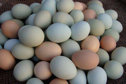 蛋壳颜色检测