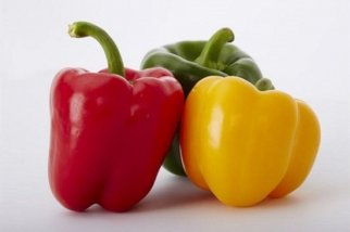 菜椒颜色分级用标准光源箱