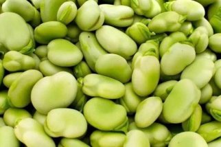 蚕豆颜色分选用标准光源箱